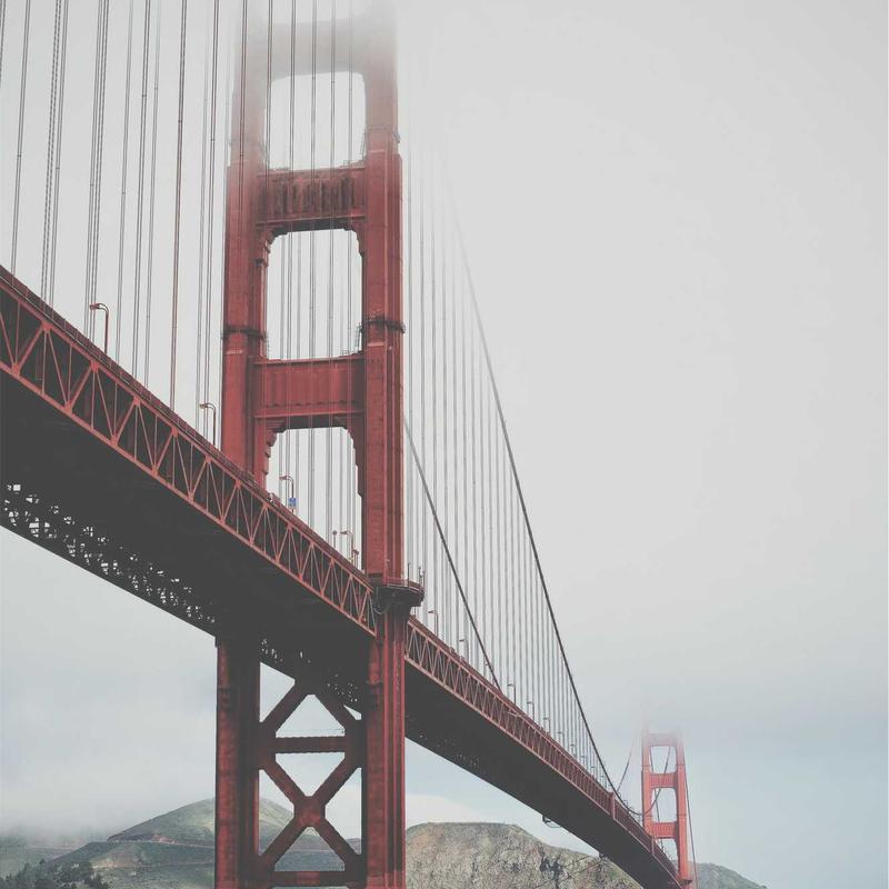 Golden Hearts, Open Doors